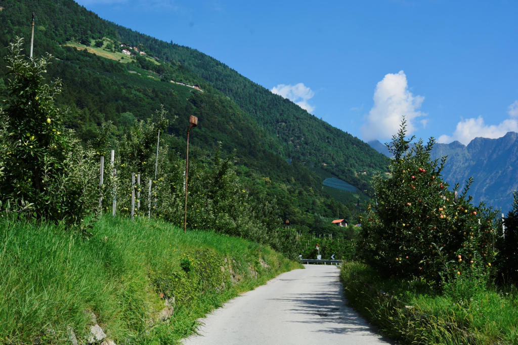Wanderweg Südtirol